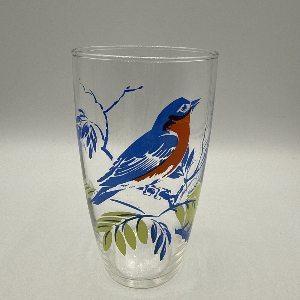 Vintage Atomic Bluebird Drinking Glass MCM Retro Bird Tumbler Blue Green 5” MCM